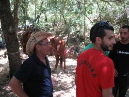 arbuda-270609 (100).html
